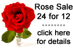 Rose Sale at Schmitt's Florist