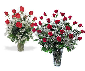 24 for 12 Rose Sale