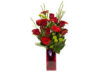 Lovely Red