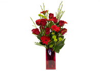 Lovely Red