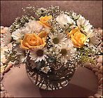 Daisy Days  In Louisville, KY, In Kentucky, Schmitt's Florist