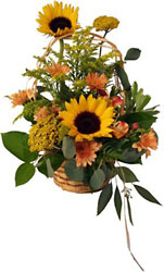 Bounty Basket