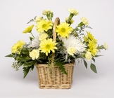 Sunny Delight In Louisville, KY, In Kentucky, Schmitt's Florist