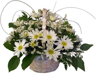 Country Fresh Daisies
