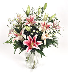 Run for the Lilies In Louisville, KY, In Kentucky, Schmitt's Florist