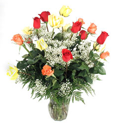 Two Dozen Mix