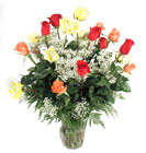 Two Dozen Mix In Louisville, KY, In Kentucky, Schmitt's Florist