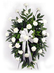 Peaceful Carnation Tribute