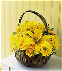 Get Better Basket
