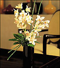 Artful Orchids