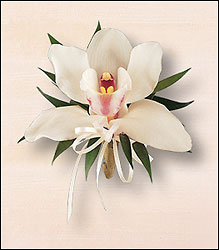 Cymbidium Orchid Corsage