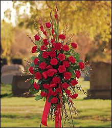 Red Regards Spray