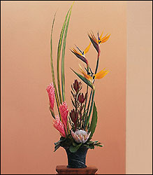 Tropical Paradise Arrangement