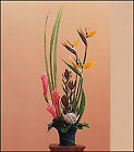 Tropical Paradise Arrangement