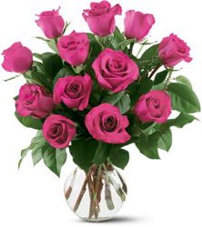 12 Hot Pink Roses In Louisville, KY, In Kentucky, Schmitt's Florist