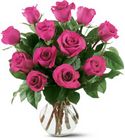 12 Hot Pink Roses In Louisville, KY, In Kentucky, Schmitt's Florist