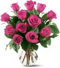 12 Hot Pink Roses In Louisville, KY, In Kentucky, Schmitt's Florist