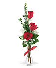 3 Red Roses