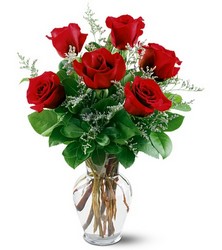 6 Red Roses In Louisville, KY, In Kentucky, Schmitt's Florist