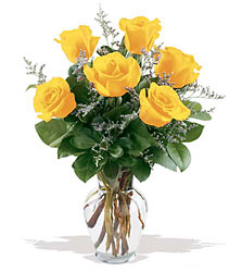 6 Yellow Roses In Louisville, KY, In Kentucky, Schmitt's Florist