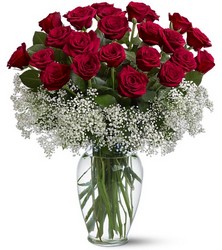 Two Dozen Red Roses with Baby Breath ring In Louisville, KY, In Kentucky, Schmitt's Florist