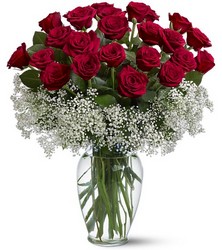 Two Dozen Red Roses