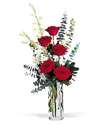 Red Roses and White Orchids