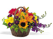 A Million Thanks In Louisville, KY, In Kentucky, Schmitt's Florist