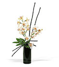 Artful Orchids
