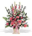 Soft Statement In Louisville, KY, In Kentucky, Schmitt's Florist