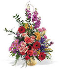 Colorful Comfort In Louisville, KY, In Kentucky, Schmitt's Florist