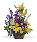 Stylish Thoughts In Louisville, KY, In Kentucky, Schmitt's Florist
