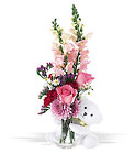 Teleflora's Bear Hug In Louisville, KY, In Kentucky, Schmitt's Florist