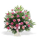 Basket with Pink Carnations In Louisville, KY, In Kentucky, Schmitt's Florist