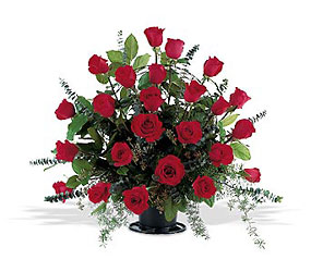 Red Splendor