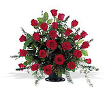 Red Splendor