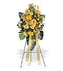 Brighter Blessings Spray In Louisville, KY, In Kentucky, Schmitt's Florist