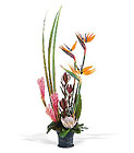 Tropical Paradise Arrangement