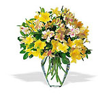 Sparkling Alstroemeria In Louisville, KY, In Kentucky, Schmitt's Florist