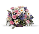 Pastel Dreams In Louisville, KY, In Kentucky, Schmitt's Florist