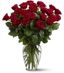Two Dozen Red Roses In Louisville, KY, In Kentucky, Schmitt's Florist