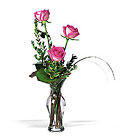 Three Pink Roses In Louisville, KY, In Kentucky, Schmitt's Florist