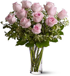 Dozen Pink Roses In Louisville, KY, In Kentucky, Schmitt's Florist