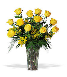 A Dozen Yellow Roses In Louisville, KY, In Kentucky, Schmitt's Florist