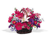 Joyous Basket In Louisville, KY, In Kentucky, Schmitt's Florist