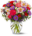 Birthday Wishes In Louisville, KY, In Kentucky, Schmitt's Florist
