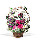 Birthday Butterflies In Louisville, KY, In Kentucky, Schmitt's Florist