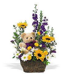  Basket & Bear
