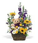 Basket & Bear In Louisville, KY, In Kentucky, Schmitt's Florist