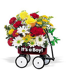 Teleflora's Baby's First Wagon Boy In Louisville, KY, In Kentucky, Schmitt's Florist